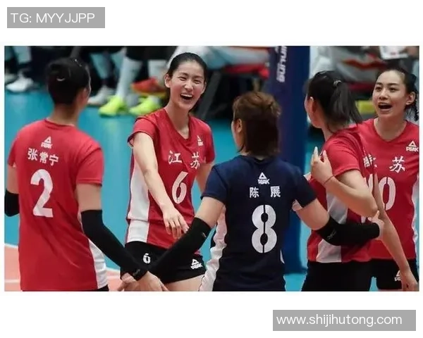 北京排球队耐力对比深度解析与训练策略探讨